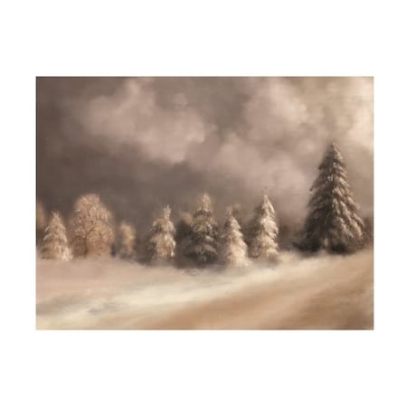 Lois Bryan 'The Snowy Road To The Top' Canvas Art,18x24